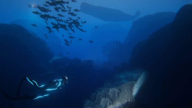Beyond Blue – Ansicht 2