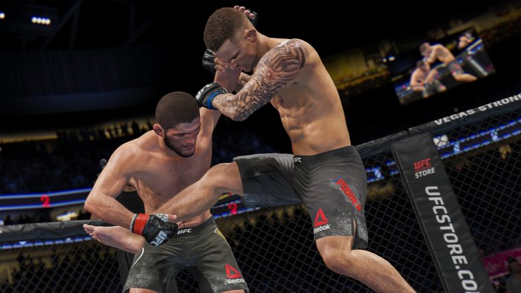 UFC 4 – Ansicht 2